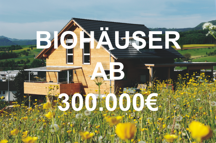 Holzhaus Bauen Okologisch Schlusselfertig Mit Okohaus Ibach